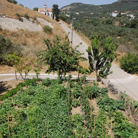 Old Winery House * קולימברי