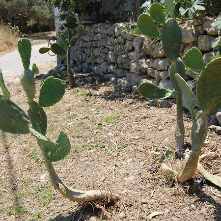 Old Winery House * Kolymbari